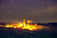 Олексій Бардадим фотография #21 (источник - https://vk.com/id9831099)