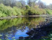 Рустем Лутфуллин фотография #50 (источник - https://vk.com/id8515565)