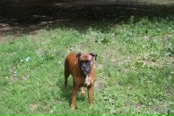 Фотография Радченкова Ильи