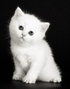 Юля Κолесникова фотография #38 (источник - https://vk.com/id162245525)