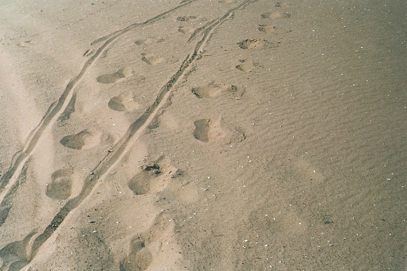 Илья Конивец фотография #32