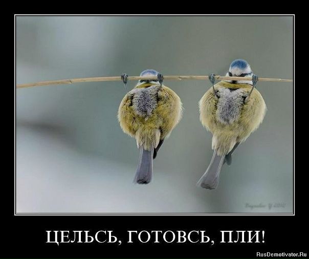 Галина Баркусевич фото №22