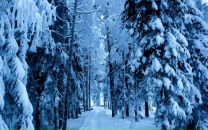 Татьяна Кузьмина фотография #18 (источник - https://vk.com/id51420676)