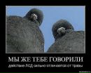 Петя Петин фотография #39 (источник - https://vk.com/id214173721)