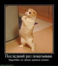 Влад Заплітний фотография #13 (источник - https://vk.com/id132173278)