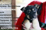 Фотография Чигирик Алены