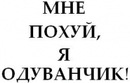 Фотография Таллеровой Лены