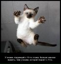 Ярослав Піддубний фотография #3 (источник - https://vk.com/id77498332)