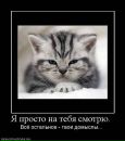 Аліна Котова фотография #37 (источник - https://vk.com/id6179769)