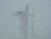 Игорь Хурсенко фотография #40 (источник - https://vk.com/id49266917)