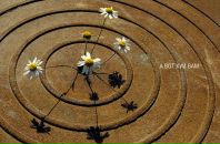 Иван Иванов фотография #20 (источник - https://vk.com/id448706)