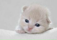 Фотография Ананьиной Екатерины