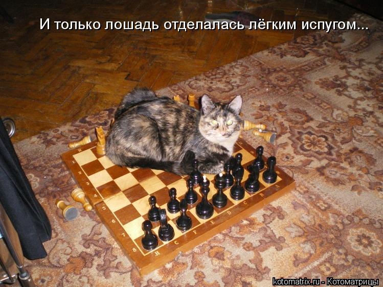 Эля Остапенко фотография #13