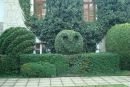 Галя Візінська фотография #31 (источник - https://vk.com/id67164958)