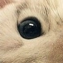 Ірина Пасічник фотография #45 (источник - https://vk.com/id89136098)