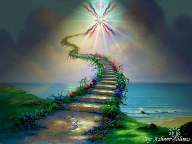 Денис Алтунин фотография #15