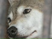 Фотография Бабия Евгения