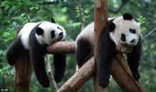 Фотография Кожушкиной Татьяны