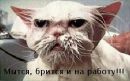 Ванюха :) фотография #8 (источник - https://vk.com/id152061599)