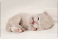 Анна Бундюк фотография #19 (источник - https://vk.com/id3442810)