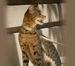 Фотография Мороз Виктории