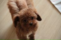 Фотография Арефьевой Натальи