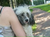 Фотография Дмитриевой Елены