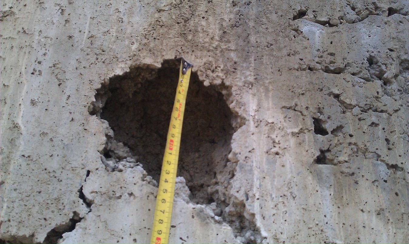 Роман Винтер фотография #44