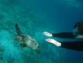 Фотография Kolodkin Stas