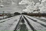 Фотография Елизарьева Сергея