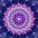 Фотография Зверевой Елены