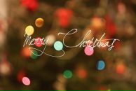 Фотография Novikova Anna