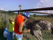 Оля Логин фотография #44 (источник - https://vk.com/id7319619)