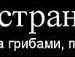 Вероніка Копил фотография #47 (источник - https://vk.com/id144902819)