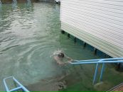 Олег Смірнов фотография #29 (источник - https://vk.com/id61885008)