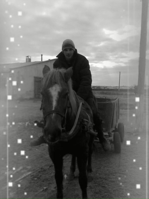 Дмитрий Доценко фотография #28