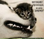 Анна Матвеенко фотография #26 (источник - https://vk.com/id536629)