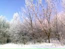 Наталія Кірюхіна фотография #49 (источник - https://vk.com/id142137412)