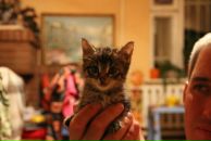 Софья Адамова фотография #8 (источник - https://vk.com/id2900348)