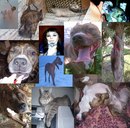 Фотография Лапушинской Екатерины