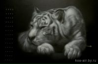 Фотография Матвеева Сергея