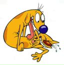 Фотография Griciany Alex