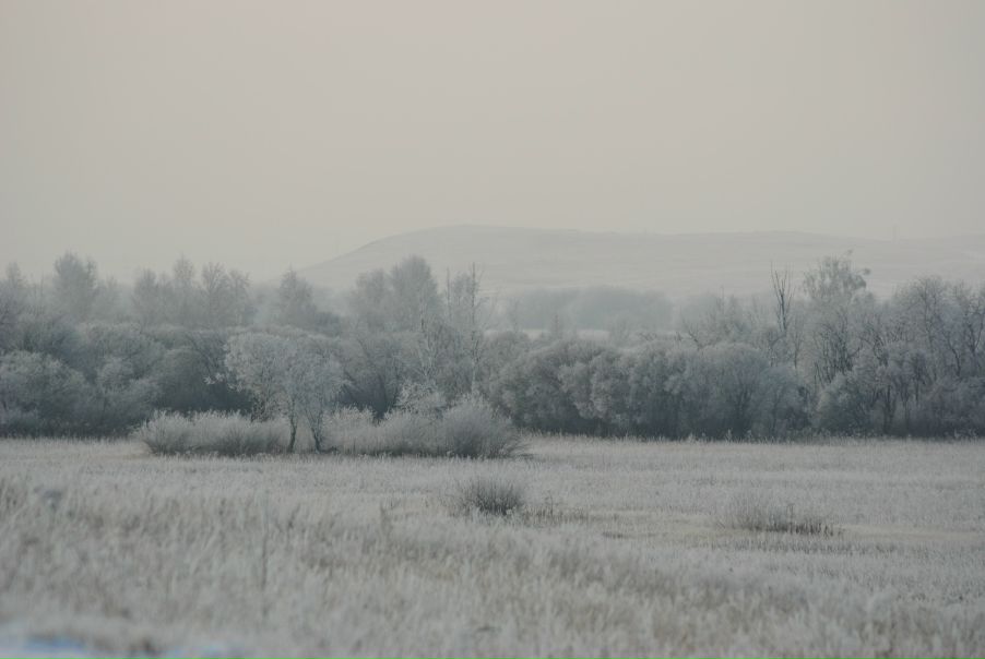 Yuri Bishaev фото №7