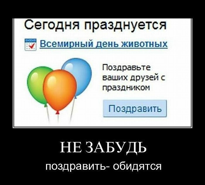 Денис Волков фотография #24