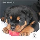 Анютік Станіславчук фотография #5 (источник - https://vk.com/id166317690)