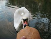 Максим Ліфіренко фотография #35 (источник - https://vk.com/id7446222)