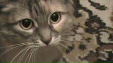 Фотография Сарычевой Dascha