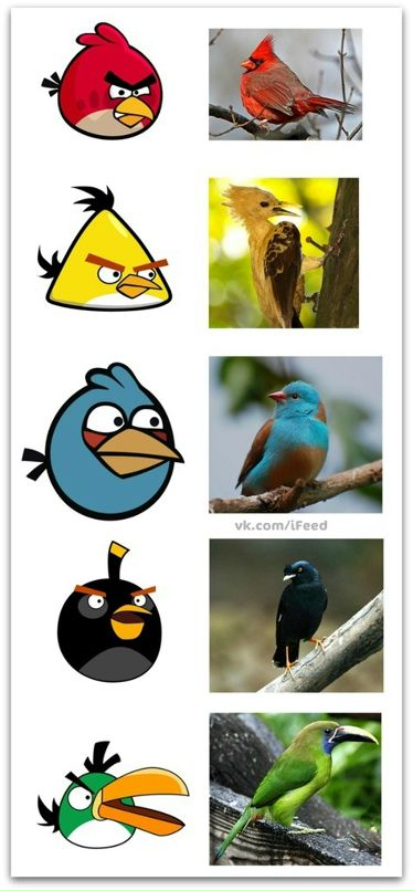 Андрей Ким фотография #23