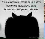 Фотография Сычева Василия