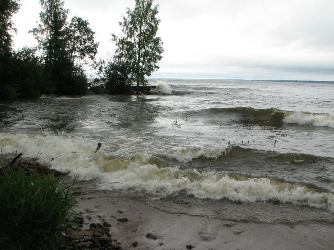 Николай Савельев фотография #11